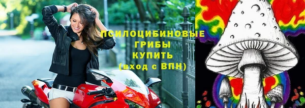 PSILOCYBIN Порхов