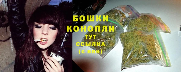 прущий лед Почеп