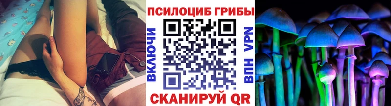 блэк спрут ссылка Усть-Катав Галлюциногенные грибы Magic Shrooms